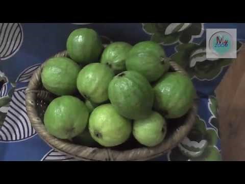 how to make guava jelly at home step by step