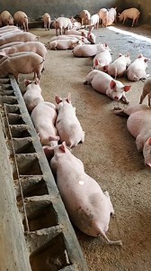 1.3M views · 17K reactions | TU ES DÉBUTANT,NOVICES, TECHNICIEN,...