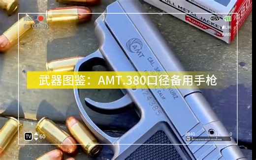 武器图鉴：AMT.380口径备用手枪