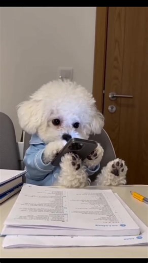 可愛い犬をAIで作る方法