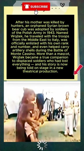 Wojtek: The True Story of the Beer-Loving Bear Who Fought Alongside Allied Soldiers in WWII