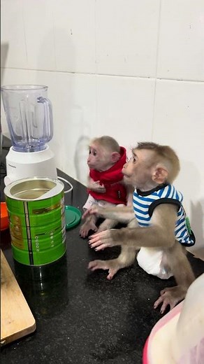 Bananas in pajamas are coming down the stairs.' – Bananas in Pyjamas theme song
