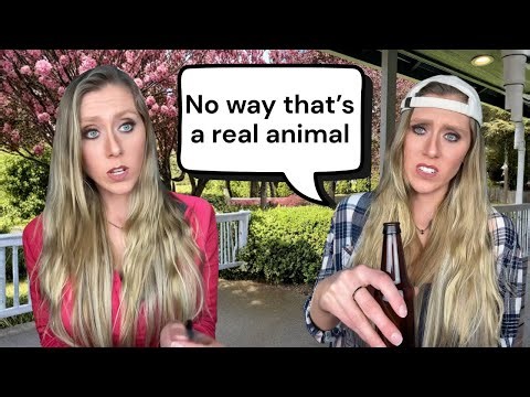 Describing chicken to a farmer who has never seen one.