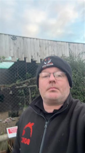 Signing off for Christmas! | Baytree Owl and Raptor Centre