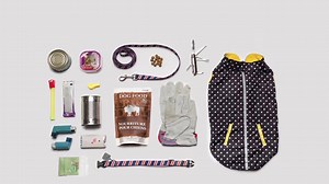 1K views · 20 reactions | Il y a six mois, des milliers de personnes n’ont eu que quelques minutes pour s’enfuir de leur domicile à l'approche des feux de forêt à Fort McMurray. Une trousse d'urgence s’assemble en deux temps, trois mouvements et pourrait vous sauver la vie. | Croix-Rouge canadienne | Facebook