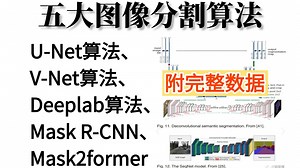 【五大图像分割算法】AI大佬2小时带你一口气带你刷完U-Net、V-Net、Deeplab、Mask R-CNN、Mask2former算法！零基础小白也能学透