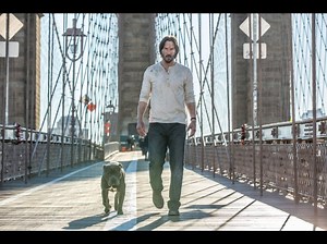 John Wick 2: Un nuevo día para matar (2017) ⭐ 7.4 | Acción, Crimen, Suspenso