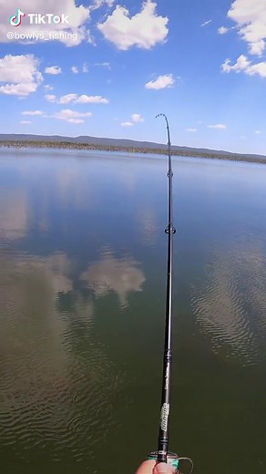 You don’t see that everyday… 😂 New video live over on the YouTube channel now! Just search ‘Bowly’s Fishing’ to find it. ✌🏼 #fyp #foryoupage #fishing #bigfish #barra #barramundi