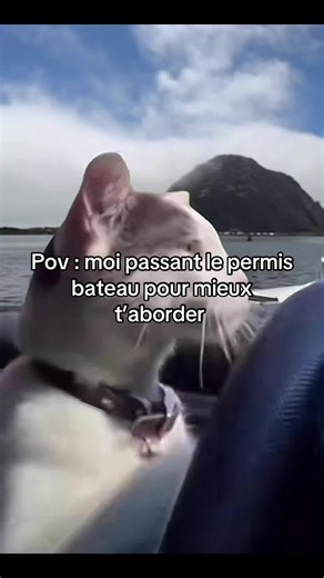 Permis bateau : aborder avec confiance