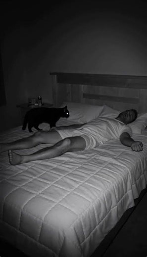 Night vision caught what my cat does while I sleep… I'm scared 👀 comment for part 2 #foryou #horror