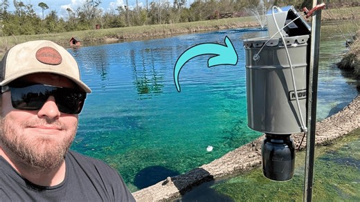 This is the best budget fish feeder for your pond