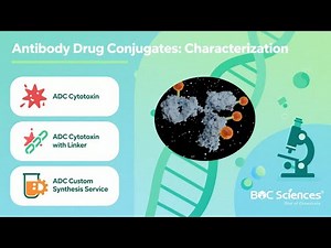 Antibody Drug Conjugates: Characterization Explained - ADC Drug Development Support - BOC Sciences