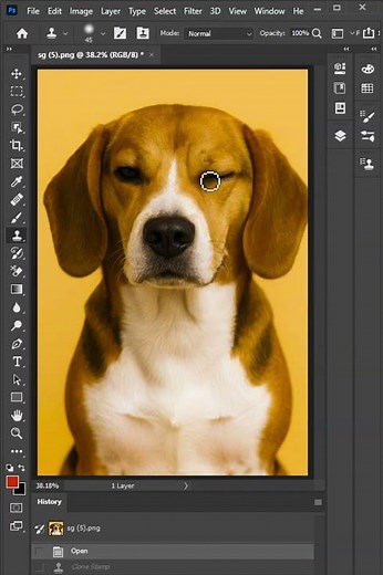 Photoshop Techniques to Improve Your Skills! #Shorts