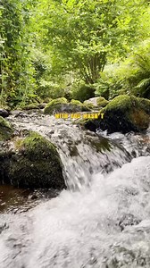 The Best Thing Ever. | Samira Sok