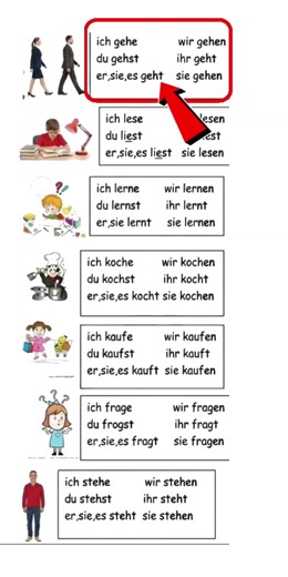 Learn German Basics for Beginners