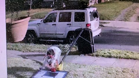Woman Crawls Through Fallen Basketball Hoop