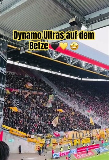 Auf Dynamo 🖤💛 Dresden Ultras mit starkem Support auf dem Betze #ultras #2bundesliga #dynamodresden