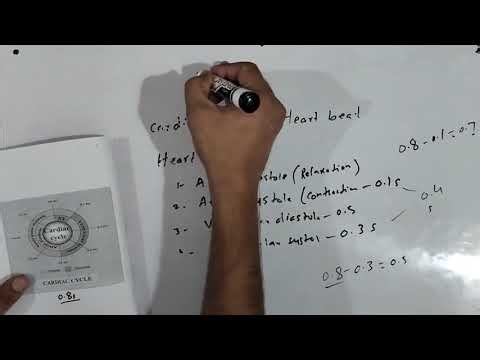 Cardiac Cycle/ Heart Beat/ Heart rate/ SA node /AV node lecture 0#4