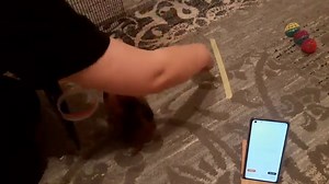 Hungarian Guinea Pig Swishes Her Way to Guinness World Record for Most Slam Dunks