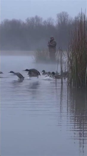 “Most Satisfying Duck Hunt Ever 🤯” #hunting #viral