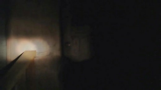 Real rake caught on camera #rake #cryptid #creature #cryptids #scary #fyp #foryou #foryoupage