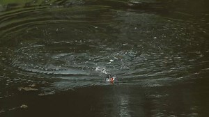 11K views · 233 reactions | Dane Radosevic putting the TT Lures BuzzlockZ through its paces and attracting some awesome bass surface strikes. Available in 3 blade sizes and multiple hook sizes that can be mixed and matched, the BuzzlockZ is dynamite on everything from bass and cod, to jacks, barra and pelagic species. Bring it on! #ttlures #buzzlockz #tackletactics #zman #turbocrawz | TT Fishing | Facebook