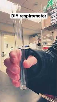 How to make a DIY respirometer using test tubes #shorts