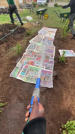 The process explained…#happyplanting #gardening