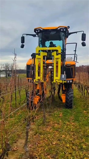 How Grape Harvesting Machines Work: A Detailed Look