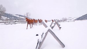 91K views · 667 reactions | Start your year with a blissful hibernal getaway in wild Montana. bit.ly/rcwildwinter | The Ranch at Rock Creek | Facebook