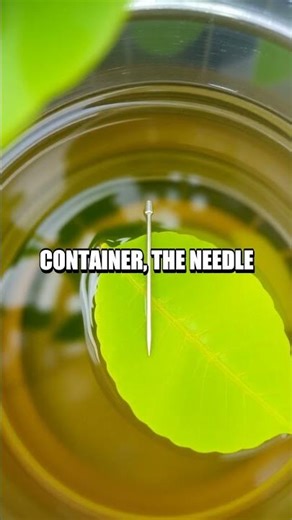 Crafting a Compass from Everyday Materials