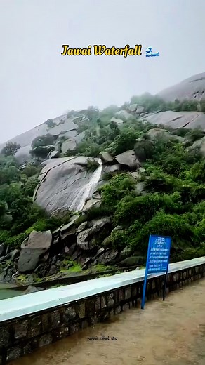 124K views · 4K reactions | अपना जवाई ❤️.......#explore #explorepage #exploregujarat #explorepage +* #travel #travelphotography #training #wildlifephotography #wildlife #wild #reels #reels #reelsvideo #instagram #instagood #india #instadaily #rajasthan #rajasthantourism #dpsinghdahiyawat #jawai | Dalpat Singh | Facebook