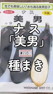 ナス「美男」種まき 2/19