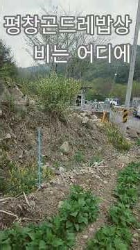 ㅂ #평창곤드레밥상