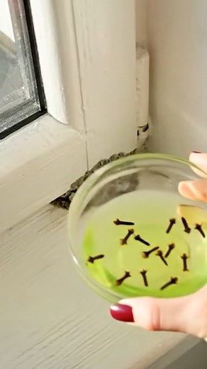 Natural cleaner that removes mold from windows 🏠 | Clever Life Hacks