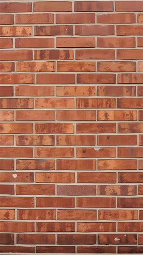 Kicking off our very first Brick Wall Wisdom! 隣✨ This week, Bobby from Sustainability shares a fun fact about composting at BHA. Have a fun fact you want us to cover? Drop your ideas in the comments — we want to hear what you want to learn! | Boston Housing Authority | Facebook