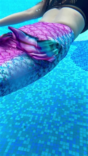 Meerjungfrauen schwimmen frei unter Wasser.#ozean #meerjungfrau #meerjungfrauen #foloeo #mermaidtiktok