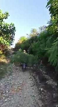 Lagi Viral Perlombaan 17 Agustus terbaru 2020