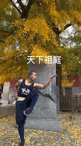 Shaolin Monks training | World of Wushu