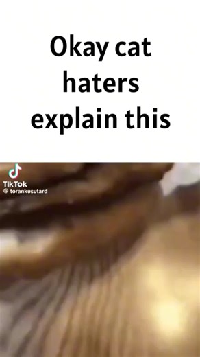 Symbiote (@_.symbiote_)’s videos with original sound - Symbiote