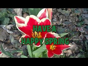 Spring Greeting E-Card: Have a Happy Spring