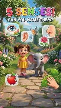 👀👂Learn 5 Senses! | See, Hear, Smell, Taste & Touch | Kids Learning 8