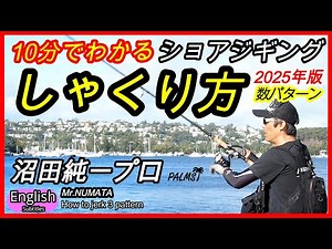 HOW TO JERK Shore Jigging Mr. NUMATA PALMS Japanese Famous Pro-Angler explanation
