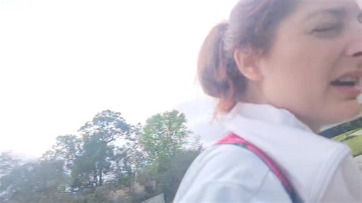 11 reactions | Bear the silver lab is checking in on day 2 - learning all about heel and autosit! | Take the Lead K9 Training | Facebook