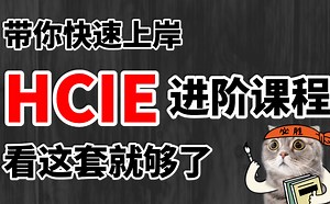 【B站DATACOM教程合集】HCIE课程天花板。HCA+HCIP+HCIE全套课程。深度学习-快速入门-通俗易懂！通关数通，就看这套！