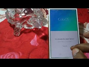 how to system update Oppo A73