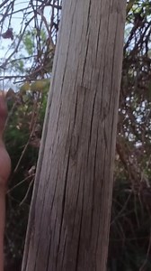 2.8K views · 36 reactions | learn how to knots #cableknots #cabletips #reelsfb #cabletricks #knots | Cabletips | Facebook