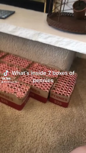 #pennies #coinrollhunting #iCarlyAffirmation #coincollector #PrimeDayShowPJParty #coinshow #oldpennies #wheatpennies #wheatcents