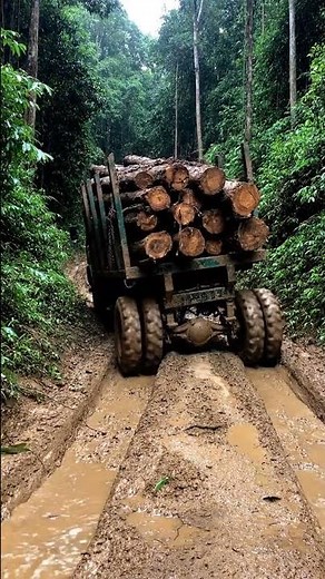MUD SPLASH: Close-Up of Log Truck Axles Battling a Deep Jungle Road
