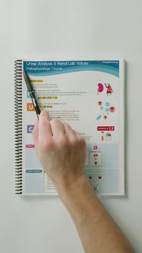 Nurse Mike from Simple Nursing on Instagram: "Urine Analysis & Renal Lab Values 🧪💧"